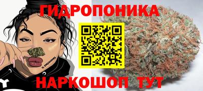 стафф Туймазы