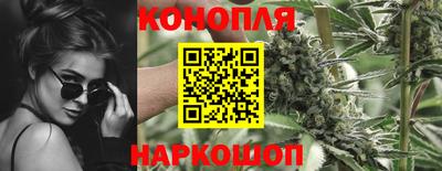 гидра Тула