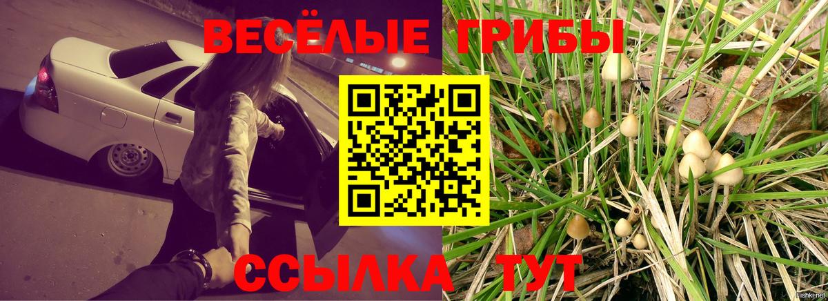 Псилоцибиновые грибы мицелий  Вход с VPN  Нижний Тагил  Псилоцибиновые грибы Magic Shrooms 