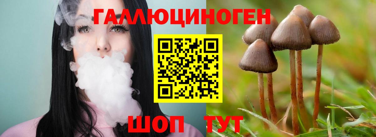 Галлюциногенные грибы Psilocybine cubensis Нижний Тагил